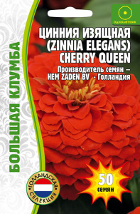 Цинния Cherry Queen изящная купить