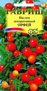 Паслён Орфей отогнутый  купить