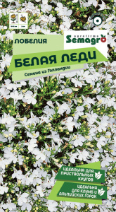 Лобелия Белая Леди  купить