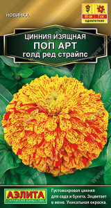 Цинния Поп арт голд ред страйпс  купить