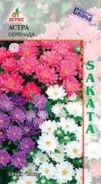 Астра Серенада смесь 15шт купить