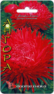 Астра Дракон Ангора  купить