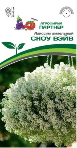 Алиссум Сноу Вэйв ампельный купить