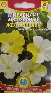 Мирабилис Мраморный Желто-белый  купить