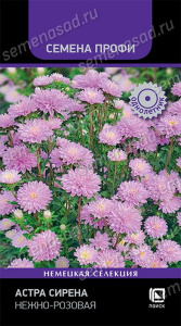 Астра Сирена Нежно-розовая купить