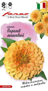 Цинния Перелив Лососевый  Фарао  купить