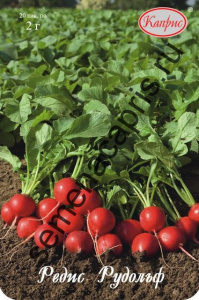 Редис Рудольф/1шт купить