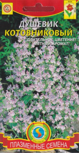 Душевик котовниковый  купить