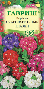 Вербена Очаровательные глазки низкая купить
