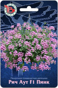 Пеларгония плющелистная ампельная Рич Аут F1 Пинк  купить