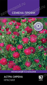 Астра Сирена Красная купить