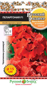 Пеларгония Русский размер F1 купить