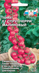 Томат Спрут черри малиновый F1  купить