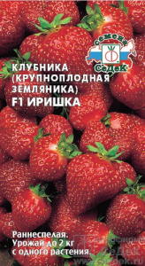 Земляника Иришка F1  купить