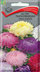 Астра Смесь окрасок купить