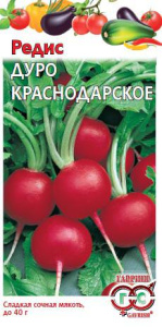 Редис Дуро (Краснодарское) 3 купить