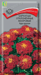 Бархатцы Аура красная откл. махр. купить