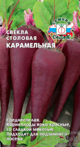 Свекла Карамельная  купить