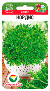 Салат Нордис F1 купить