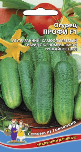 Огурец Профи F1  купить