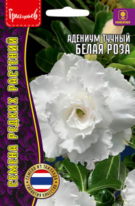 Адениум Белая Роза купить