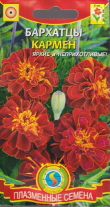 Бархатцы Кармен красные с жёлтым  купить