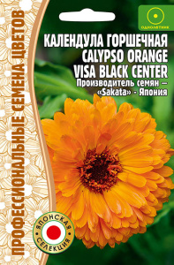 Календула Calypso Orange With Black Center горшечная  купить