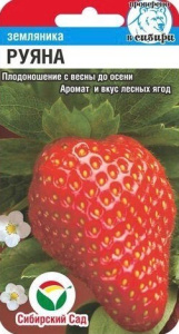 Земляника Руяна купить