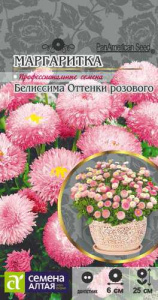 Маргаритка Белиссима Оттенки Розового  купить