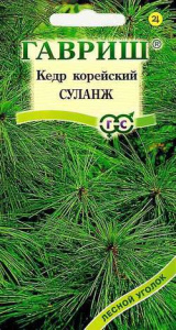 Кедр корейский Суланж  купить