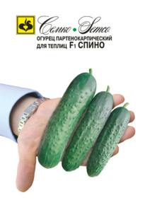 Огурец Спино F1  купить