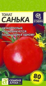 Томат Санька купить