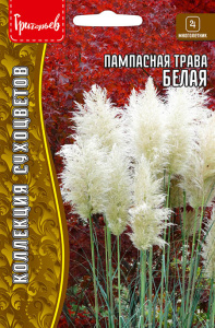 Пампасная трава Белая (Кортадерия) купить