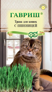 Трава для кошек с пшеницей купить