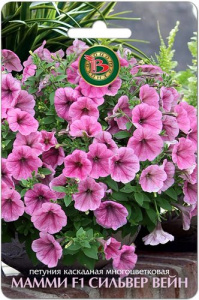 Петуния Мамми F1 Сильвер Вейн каскадная многоцветковая купить