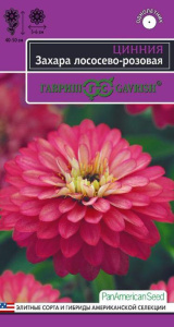 Цинния Захара лососево-розовая  купить