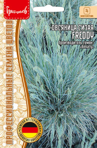 Овсяница сизая Freddy купить