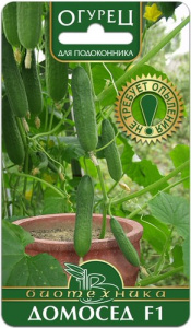 Огурец Домосед F1 купить
