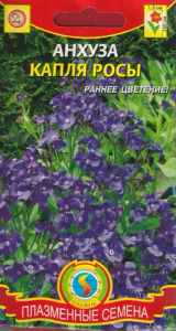 Анхуза Капля росы  купить