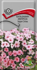 Бальзамин Импреза Черри Сплэш купить