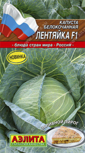 Капуста Лентяйка /Блюда стран мира купить