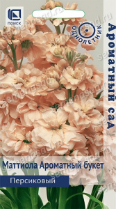 Маттиола Ароматный Букет Персиковый купить