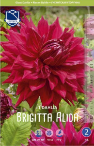 Георгина гигантская Brigitta Alida /1шт купить