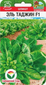 Шпинат Эль Таджин F1  купить