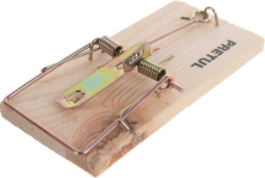 Мышеловка деревянная 10см (2шт-1уп) 23709 купить