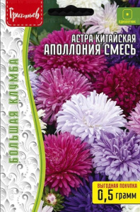 Астра Аполлония Смесь китайская  купить