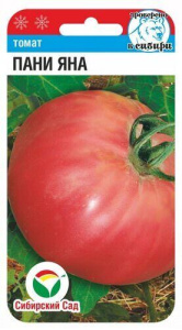 Томат Пани Яна  купить