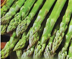 Спаржа Царская 1шт/10 купить