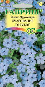 Флокс Очарование голубое друммонди купить