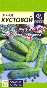 Огурец Кустовой купить
